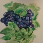 Aquarelle (103)