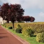 b4b2ad_7341c7c149e646679dfe7f1e75fcdeae~mv2.jpg