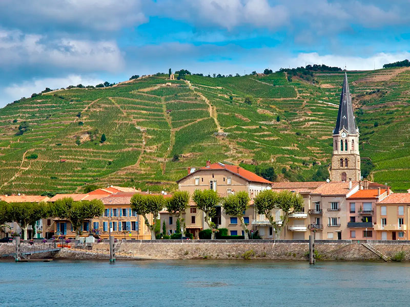 vignobles - côte du Rhône