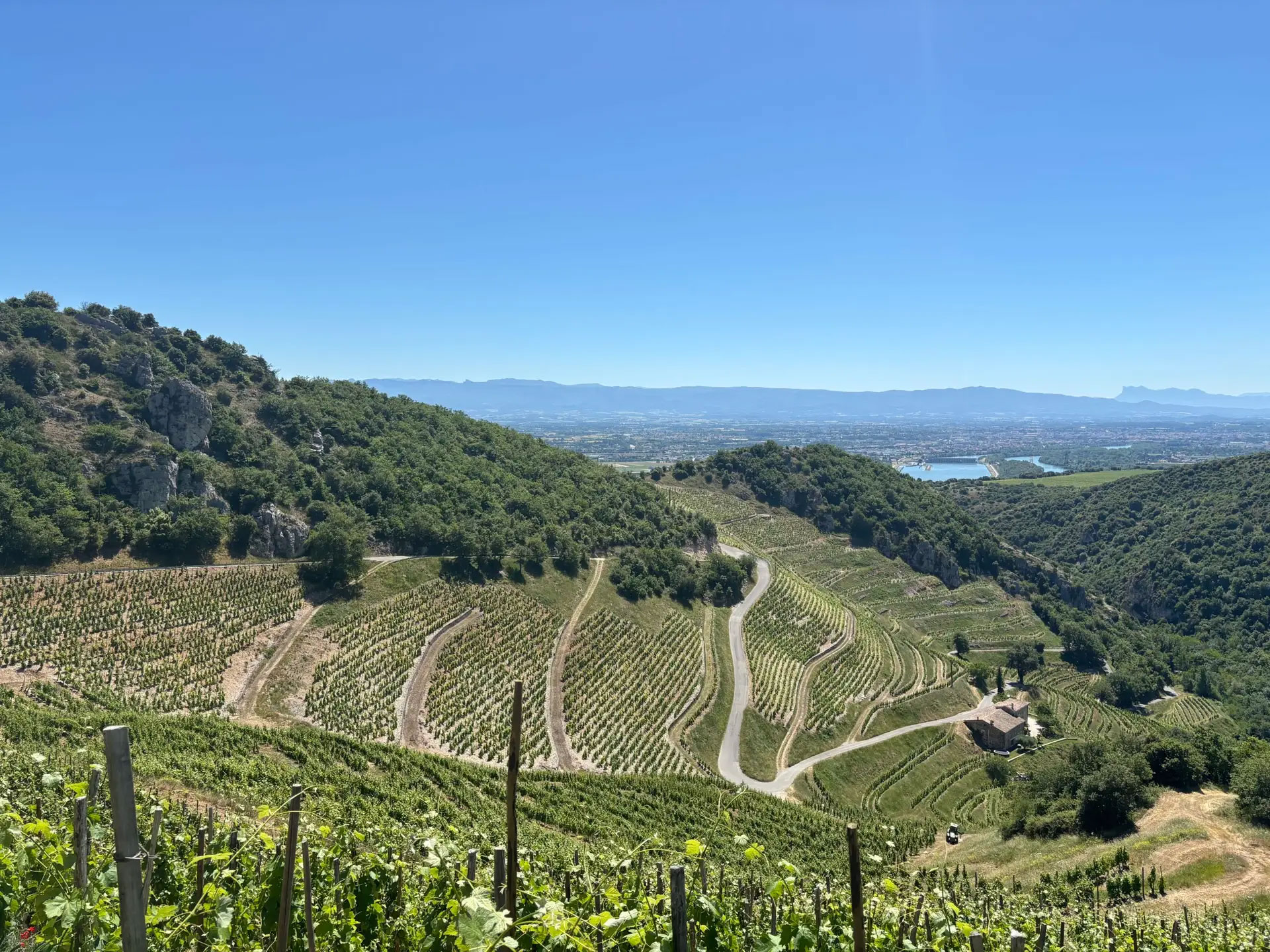 vignobles - coteaux