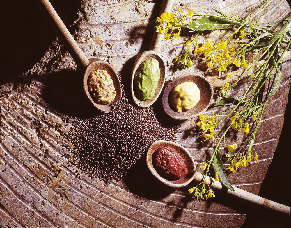 dégustation des moutardes Fallot